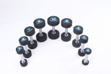 Гантели в уретане LIVEPRO Studio Dumbbells 7 кг, черный/синий