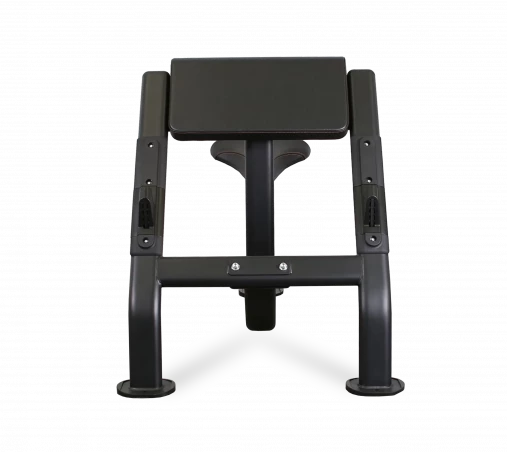 Скамья Скотта BRONZE GYM BR-1007