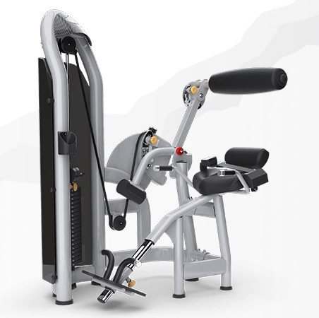 Тренажер грузоблочный Разгибание спины MATRIX Aura G3-S52