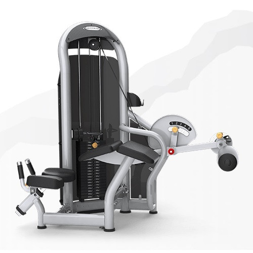 Тренажер грузоблочный Сгибание ног лежа MATRIX Aura G3-S73