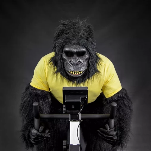 Велоэргометр с воздушной системой Concept2 BikeErg c русифицированным монитором PM5 и поддержкой Zwift