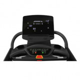 BRONZE GYM T900M Беговая дорожка 