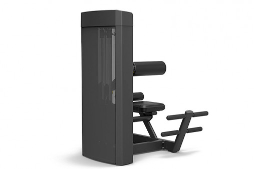 Разгибание спины Spirit SP-4310