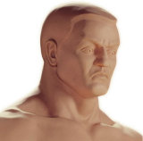 Манекен для бокса Century Bob Box (Боб Бокс Герман)