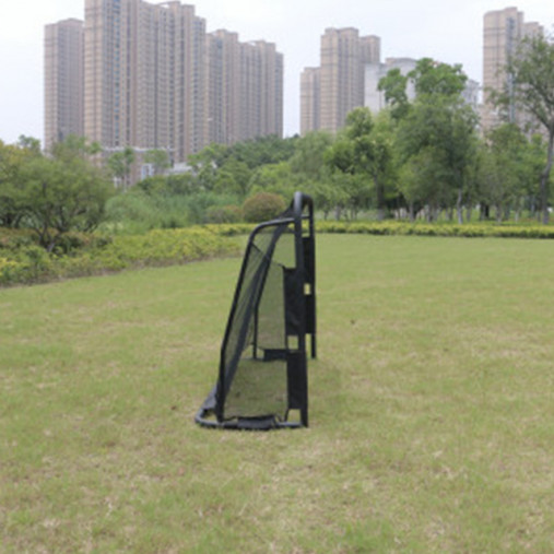 Футбольные ворота с тренировочным экраном Scholle F184